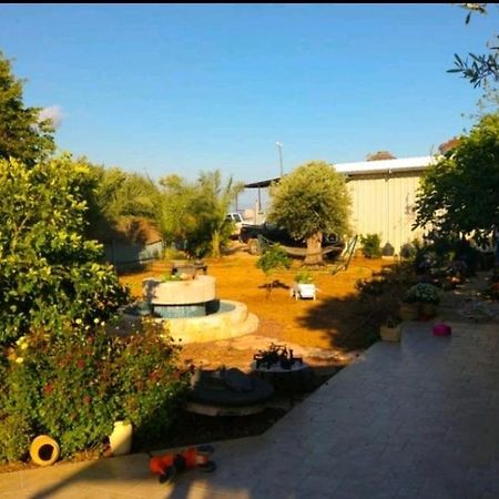 Apartamento בחצר של טובה Hazon Exterior foto