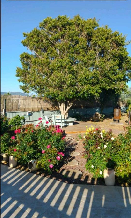 Apartamento בחצר של טובה Hazon Exterior foto