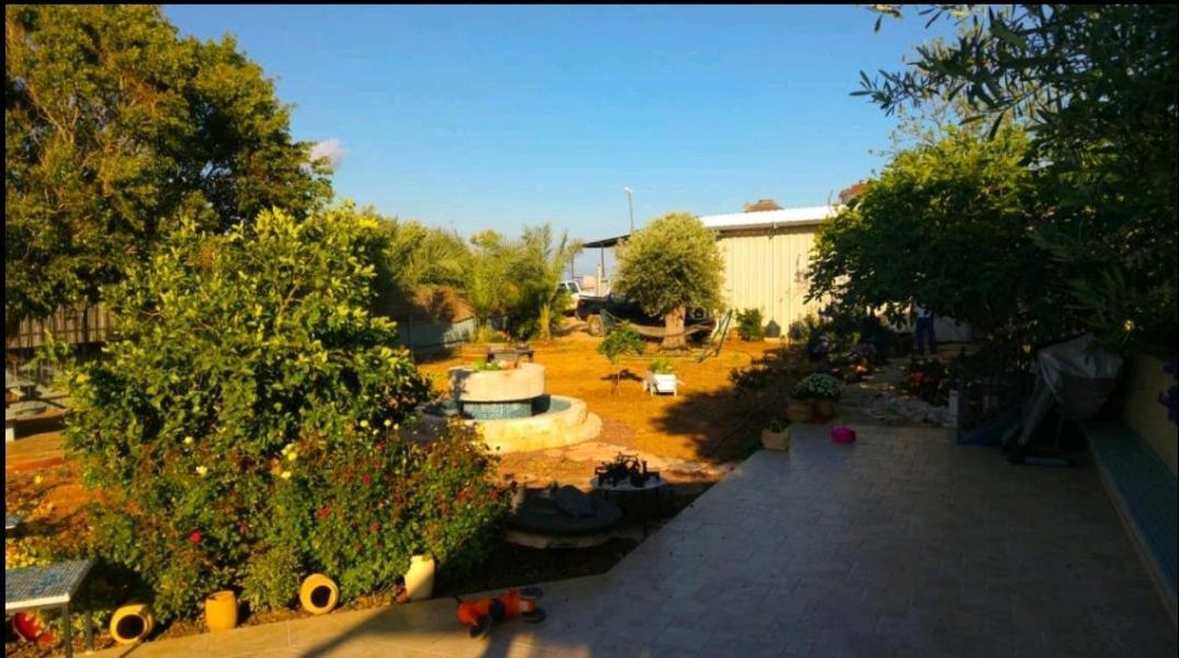 Apartamento בחצר של טובה Hazon Exterior foto